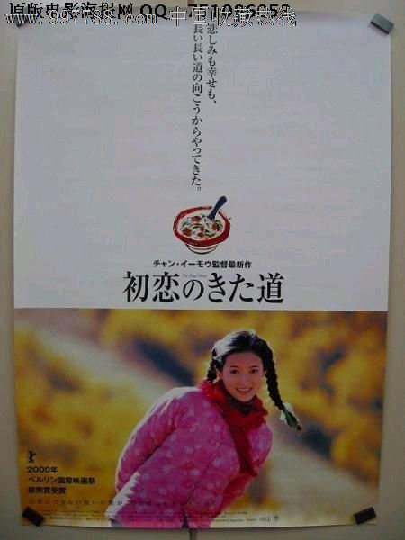 佐治亚州出生证明作假